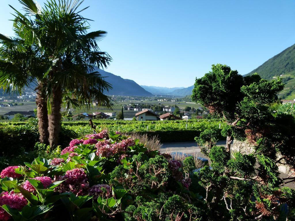 Pension Hauenstein Лагундо Экстерьер фото